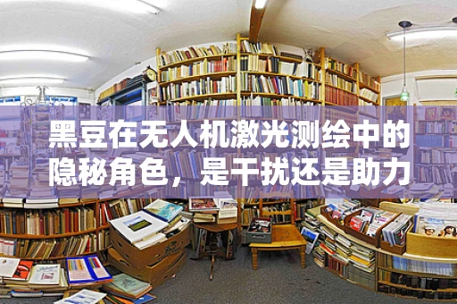 黑豆在无人机激光测绘中的隐秘角色，是干扰还是助力？