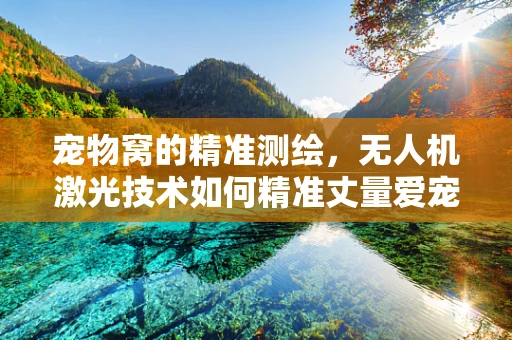 宠物窝的精准测绘，无人机激光技术如何精准丈量爱宠的小天地？