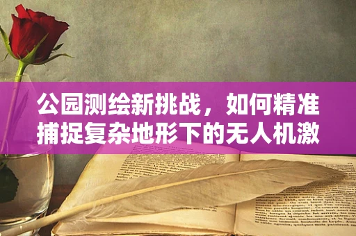 公园测绘新挑战，如何精准捕捉复杂地形下的无人机激光数据？