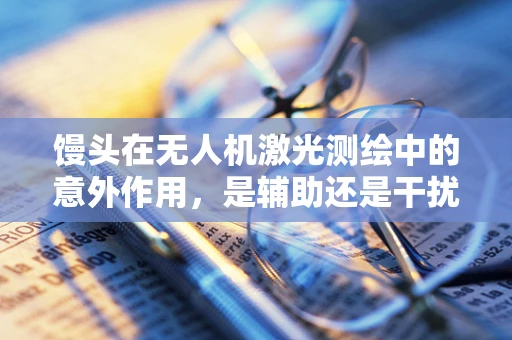 馒头在无人机激光测绘中的意外作用，是辅助还是干扰？