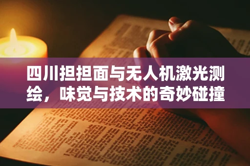 四川担担面与无人机激光测绘，味觉与技术的奇妙碰撞