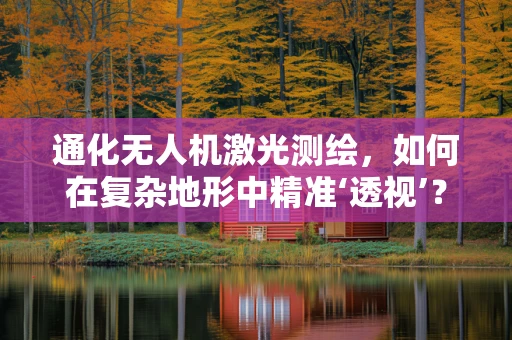 通化无人机激光测绘，如何在复杂地形中精准‘透视’？