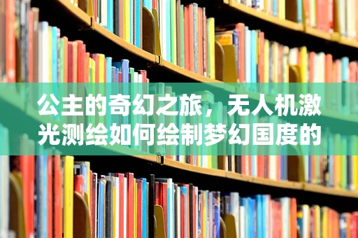 公主的奇幻之旅，无人机激光测绘如何绘制梦幻国度的精确地图？