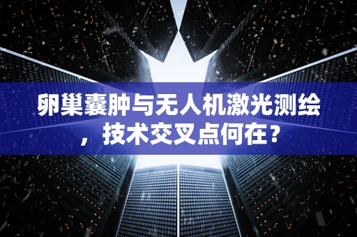卵巢囊肿与无人机激光测绘，技术交叉点何在？