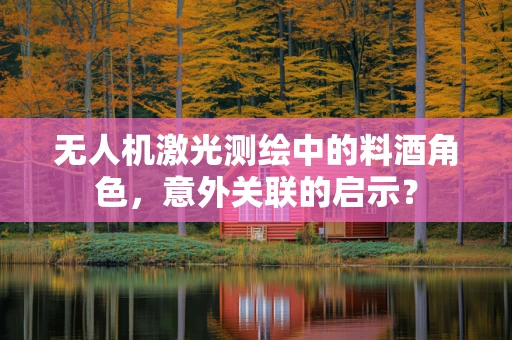 无人机激光测绘中的料酒角色，意外关联的启示？
