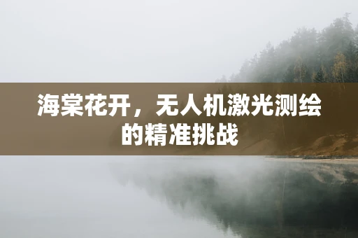 海棠花开，无人机激光测绘的精准挑战