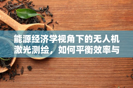 能源经济学视角下的无人机激光测绘，如何平衡效率与可持续性？