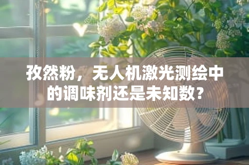 孜然粉，无人机激光测绘中的调味剂还是未知数？