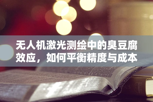 无人机激光测绘中的臭豆腐效应，如何平衡精度与成本？