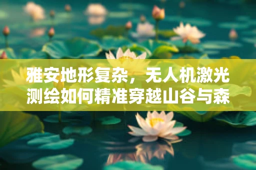 雅安地形复杂，无人机激光测绘如何精准穿越山谷与森林？