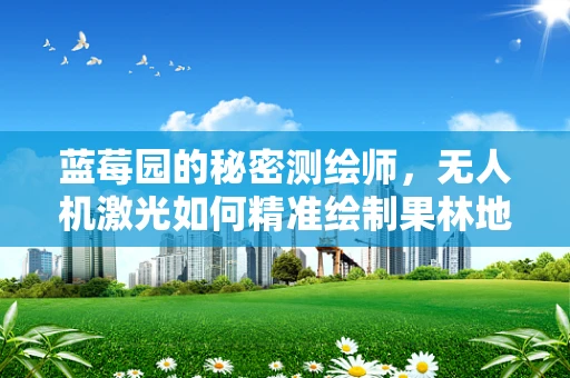 蓝莓园的秘密测绘师，无人机激光如何精准绘制果林地图？