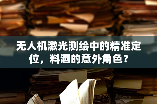 无人机激光测绘中的精准定位，料酒的意外角色？