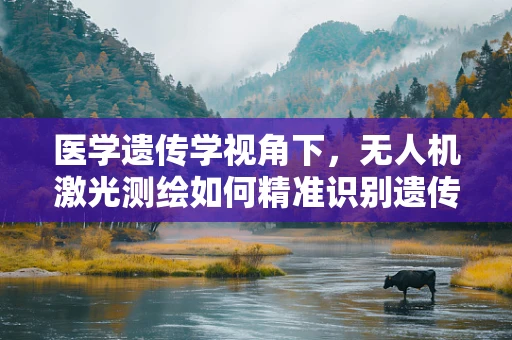医学遗传学视角下，无人机激光测绘如何精准识别遗传病高发区域？