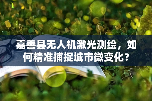 嘉善县无人机激光测绘，如何精准捕捉城市微变化？