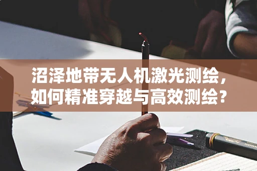 沼泽地带无人机激光测绘，如何精准穿越与高效测绘？