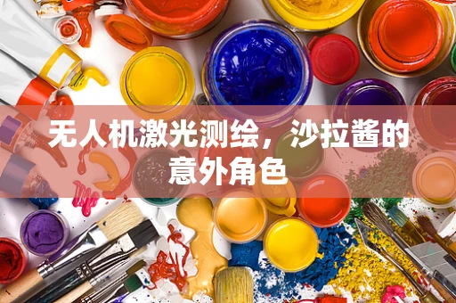 无人机激光测绘，沙拉酱的意外角色