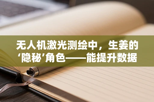 无人机激光测绘中，生姜的‘隐秘’角色——能提升数据精度吗？