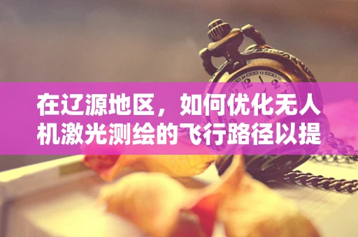在辽源地区，如何优化无人机激光测绘的飞行路径以提升测绘精度？