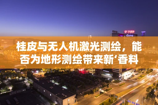 桂皮与无人机激光测绘，能否为地形测绘带来新‘香料’？