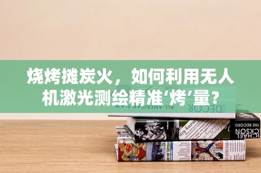 烧烤摊炭火，如何利用无人机激光测绘精准‘烤’量？