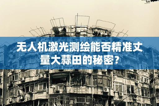 无人机激光测绘能否精准丈量大蒜田的秘密？