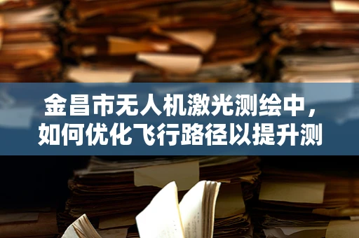 金昌市无人机激光测绘中，如何优化飞行路径以提升测绘效率？