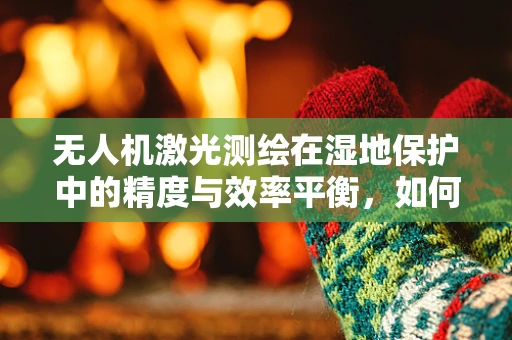 无人机激光测绘在湿地保护中的精度与效率平衡，如何实现？