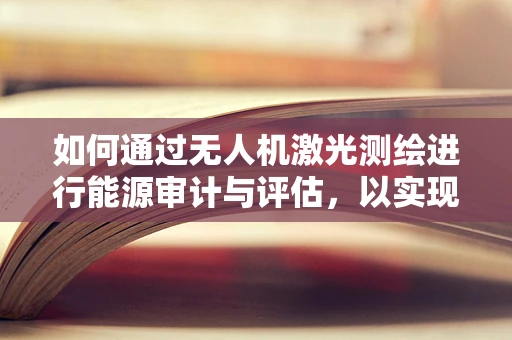如何通过无人机激光测绘进行能源审计与评估，以实现更精准的能源管理？