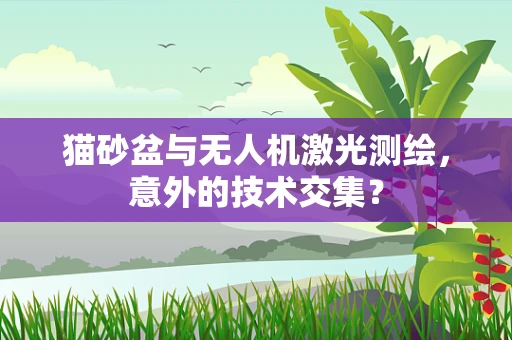 猫砂盆与无人机激光测绘，意外的技术交集？