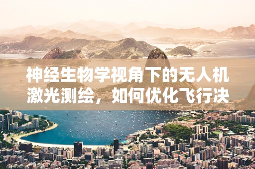 神经生物学视角下的无人机激光测绘，如何优化飞行决策？