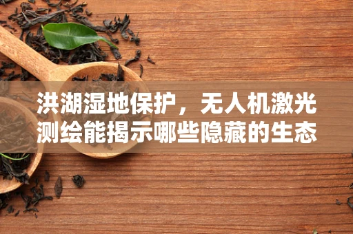 洪湖湿地保护，无人机激光测绘能揭示哪些隐藏的生态秘密？