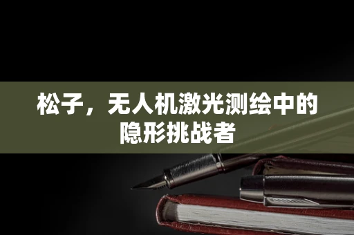 松子，无人机激光测绘中的隐形挑战者