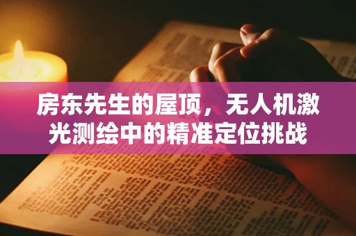 房东先生的屋顶，无人机激光测绘中的精准定位挑战