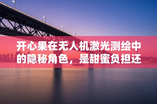开心果在无人机激光测绘中的隐秘角色，是甜蜜负担还是技术奇兵？