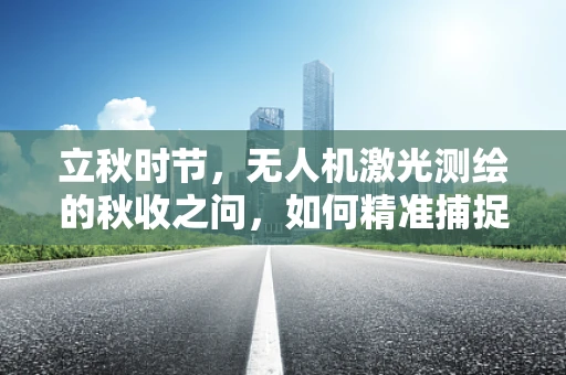 立秋时节，无人机激光测绘的秋收之问，如何精准捕捉季节变迁的微妙痕迹？
