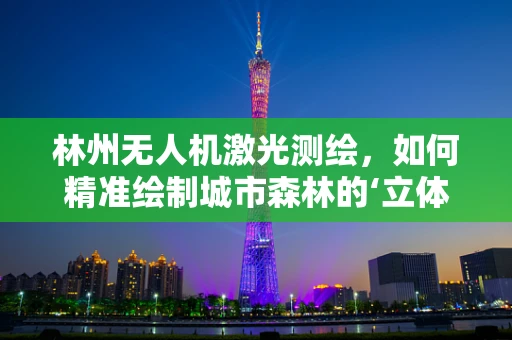 林州无人机激光测绘，如何精准绘制城市森林的‘立体地图’？