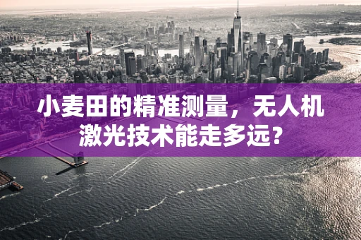 小麦田的精准测量，无人机激光技术能走多远？