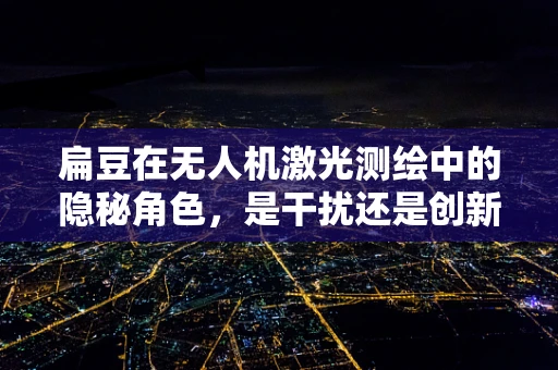 扁豆在无人机激光测绘中的隐秘角色，是干扰还是创新应用？