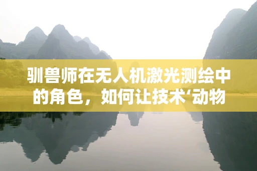 驯兽师在无人机激光测绘中的角色，如何让技术‘动物’听命于人？