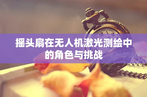 摇头扇在无人机激光测绘中的角色与挑战