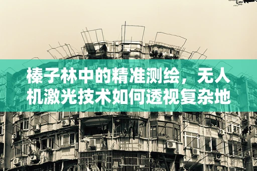 榛子林中的精准测绘，无人机激光技术如何透视复杂地形？