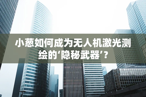 小葱如何成为无人机激光测绘的‘隐秘武器’？