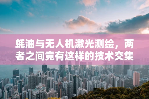 蚝油与无人机激光测绘，两者之间竟有这样的技术交集？
