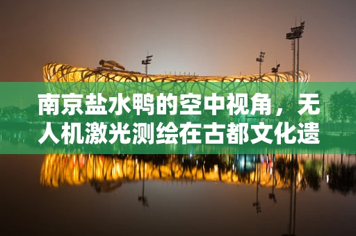 南京盐水鸭的空中视角，无人机激光测绘在古都文化遗址保护中的应用探索