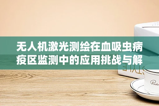 无人机激光测绘在血吸虫病疫区监测中的应用挑战与解决方案