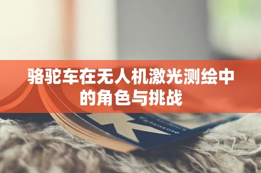 骆驼车在无人机激光测绘中的角色与挑战