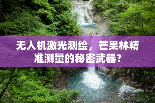 无人机激光测绘，芒果林精准测量的秘密武器？