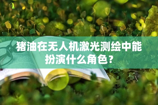 猪油在无人机激光测绘中能扮演什么角色？