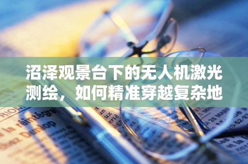 沼泽观景台下的无人机激光测绘，如何精准穿越复杂地形？