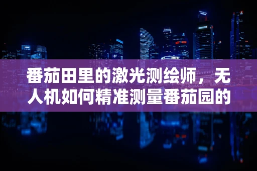 番茄田里的激光测绘师，无人机如何精准测量番茄园的秘密？